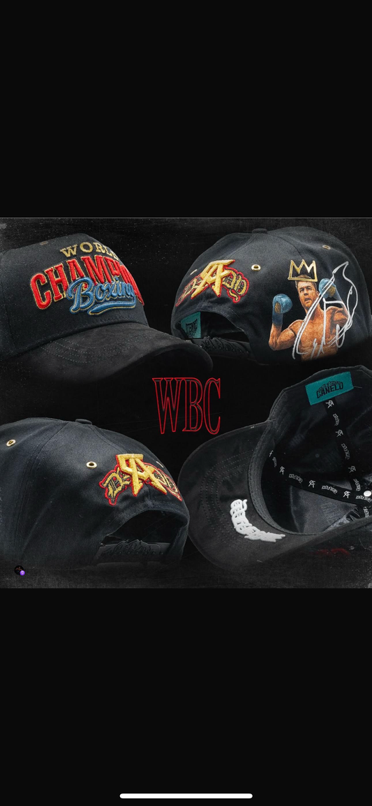 WBC canelo x Dandy
