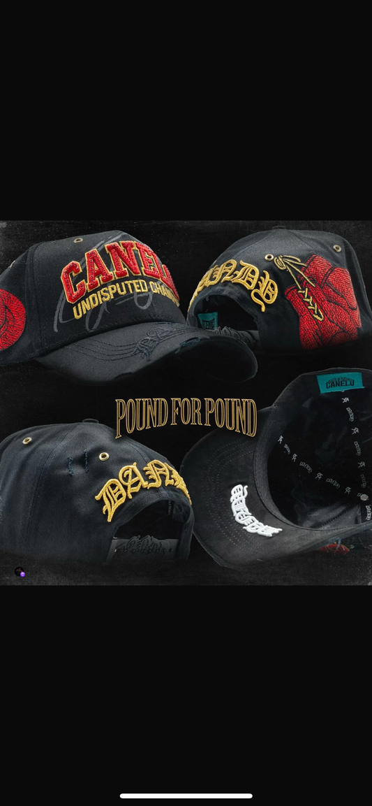 Pound for pound Canelo x Dandy