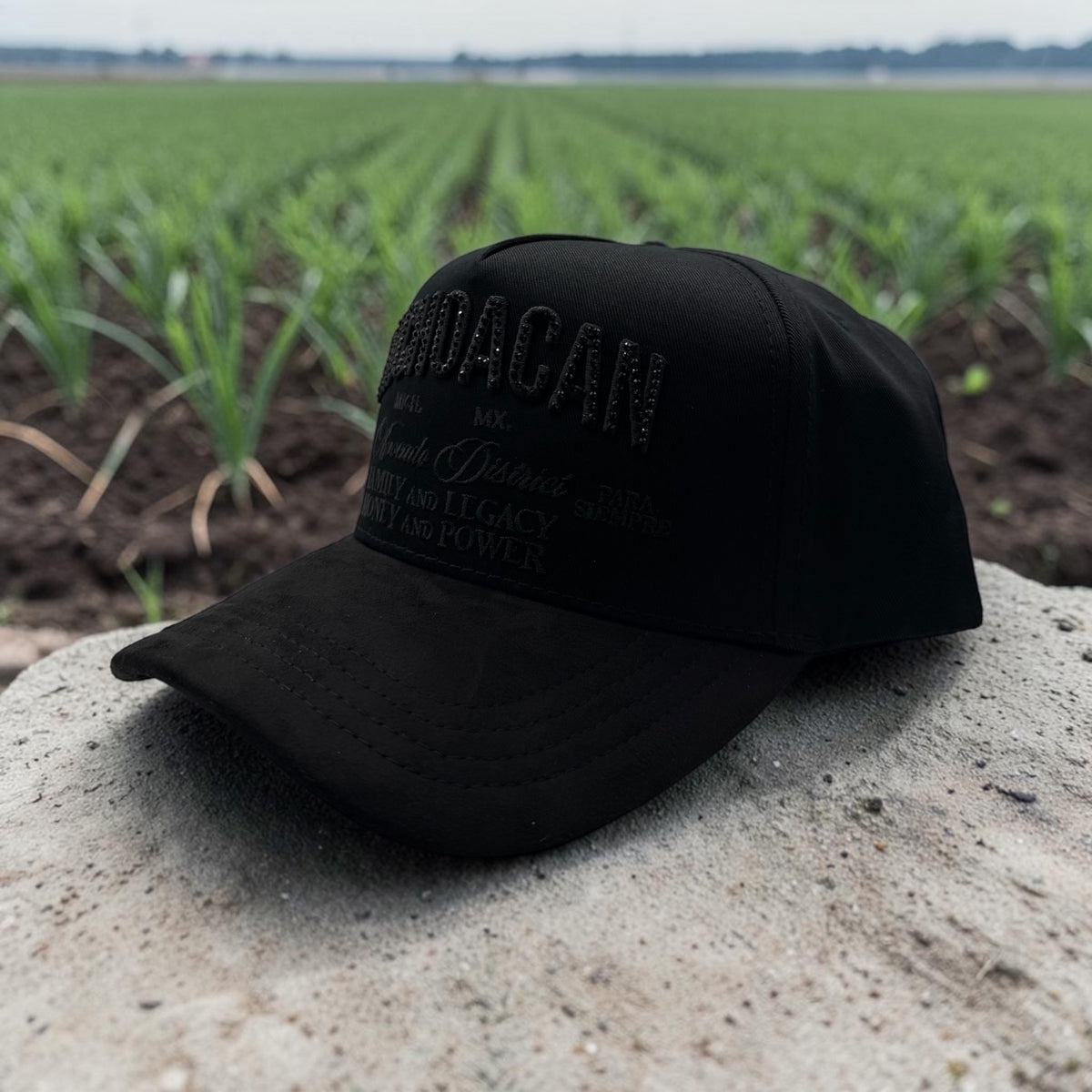 Michoacan SnapBack