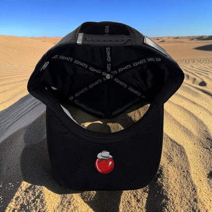 Sinaloa SnapBack